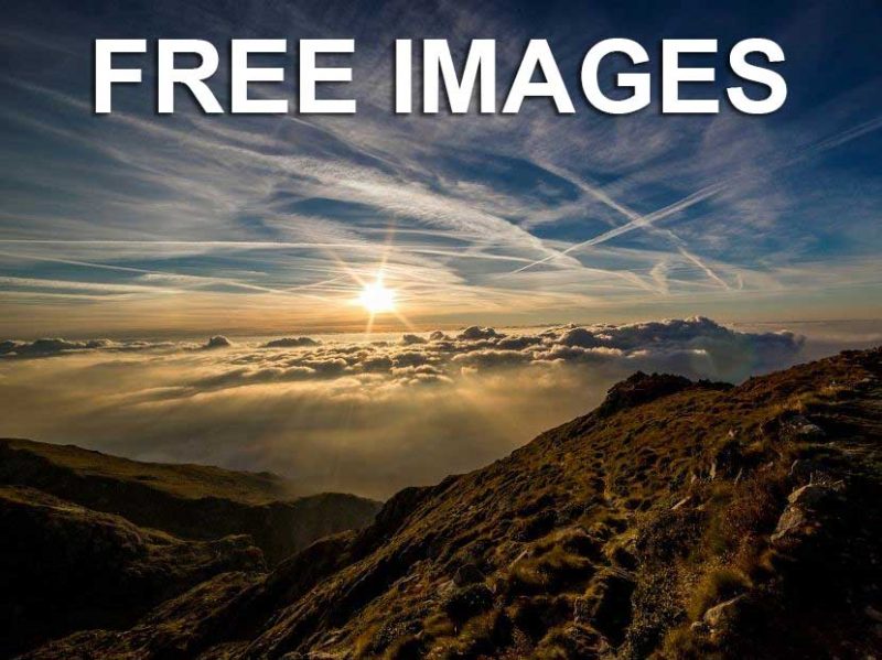 FREE Website Images